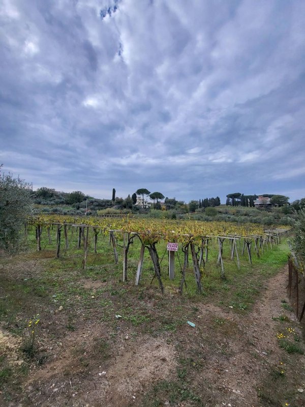 terreno agricolo in vendita a Roma in zona Finocchio