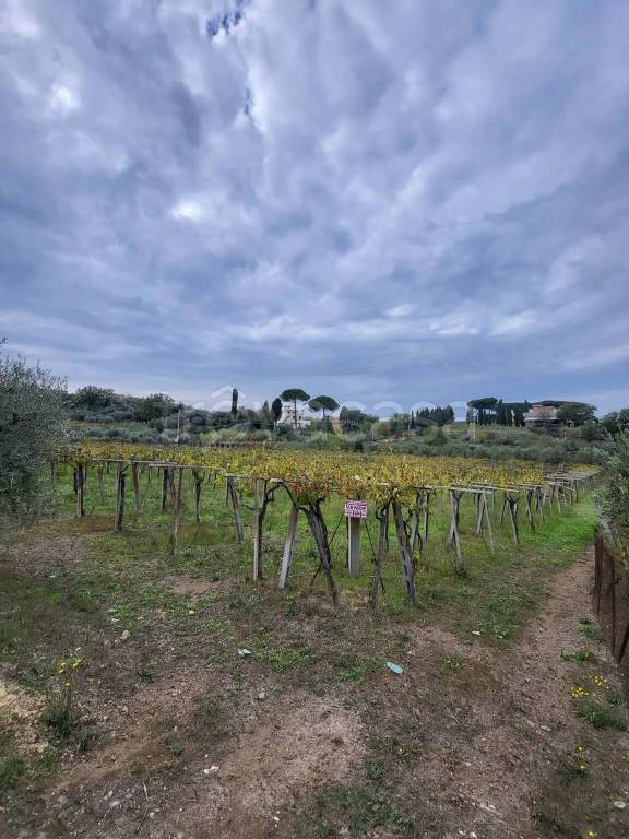 terreno agricolo in vendita a Roma in zona Finocchio