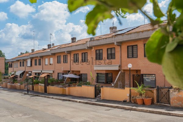 esavano in vendita a Roma in zona La Storta