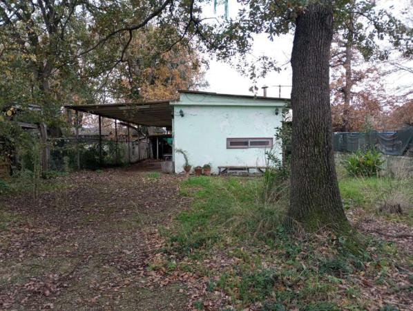 terreno agricolo in vendita a Roma in zona Monte Migliore