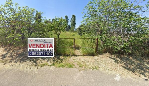 negozio in vendita a Roma in zona Finocchio