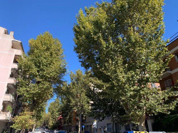 appartamento in vendita a Roma in zona Appio Latino