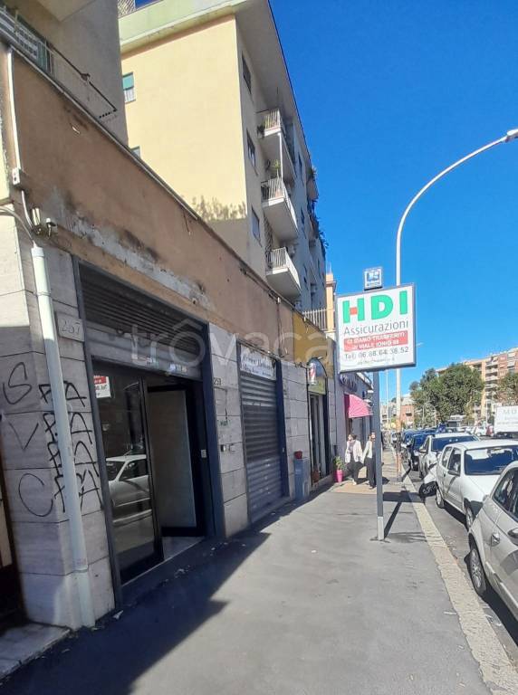negozio in vendita a Roma in zona Monte Sacro/Talenti