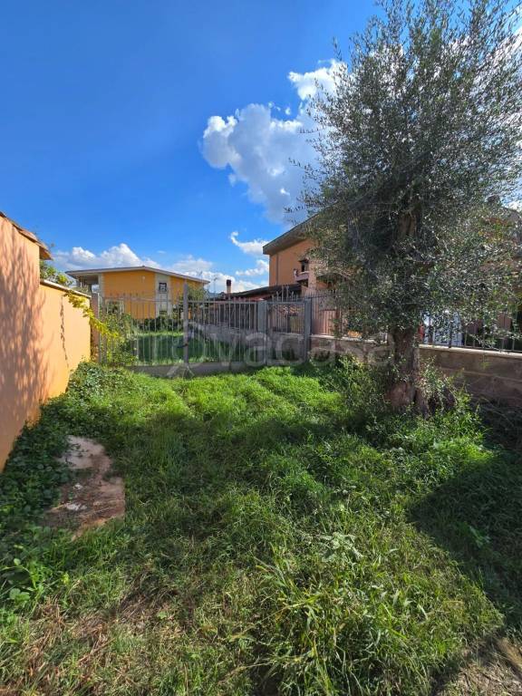 terreno agricolo in vendita a Roma in zona Borghesiana