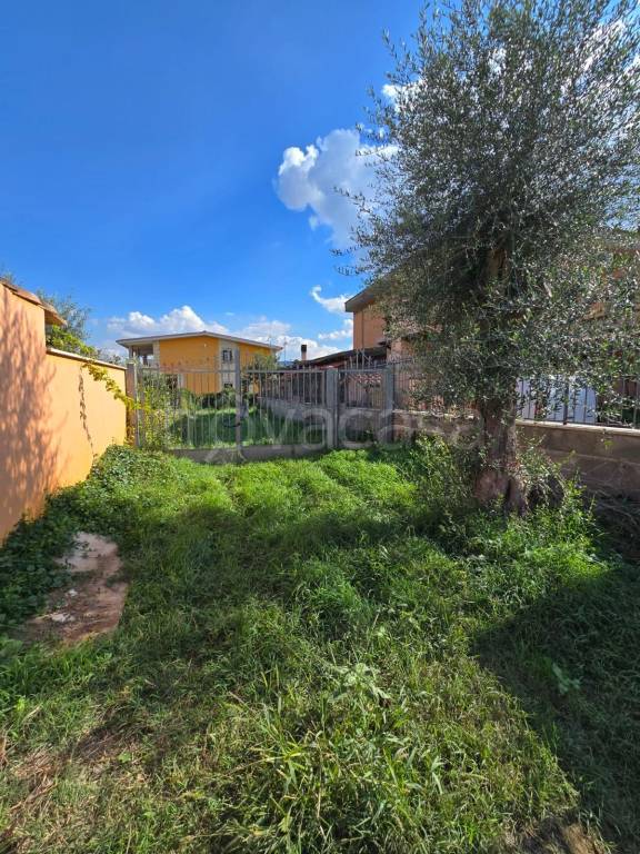 terreno agricolo in vendita a Roma in zona Borghesiana