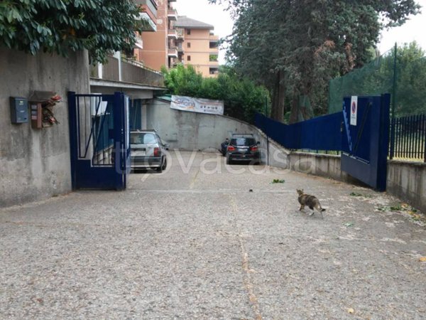negozio in vendita a Roma in zona La Pisana