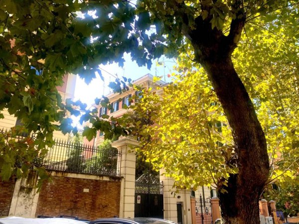 appartamento in vendita a Roma in zona Flaminio