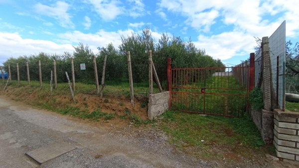 terreno agricolo in vendita a Roma in zona Finocchio