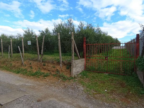 terreno agricolo in vendita a Roma in zona Finocchio