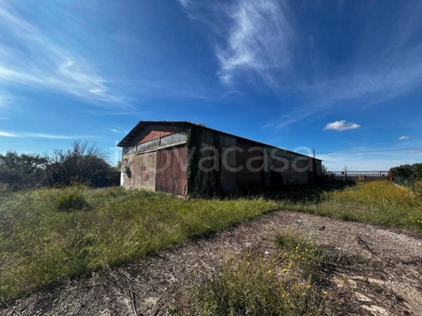 locale commerciale in vendita a Roma in zona Trigoria