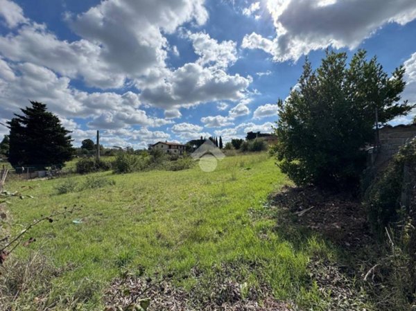 terreno agricolo in vendita a Roma in zona Monte Migliore