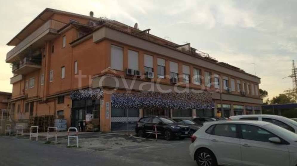 appartamento in vendita a Roma in zona Tor Vergata/Torrenova