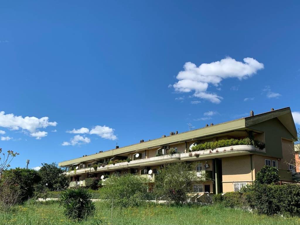 appartamento in vendita a Roma in zona Spinaceto