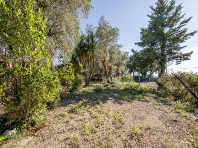 casa indipendente in vendita a Roma in zona Flaminio
