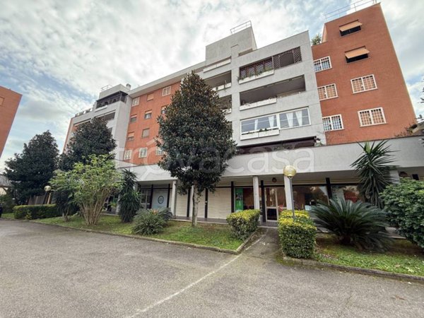 negozio in vendita a Roma in zona Dragona/Bagnoletto