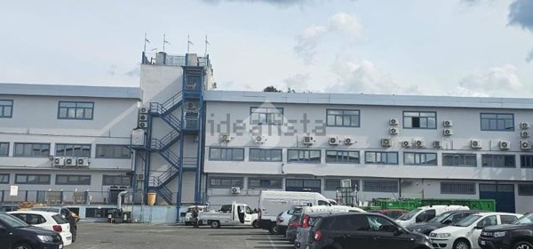 locale commerciale in vendita a Roma in zona Tor Vergata/Torrenova