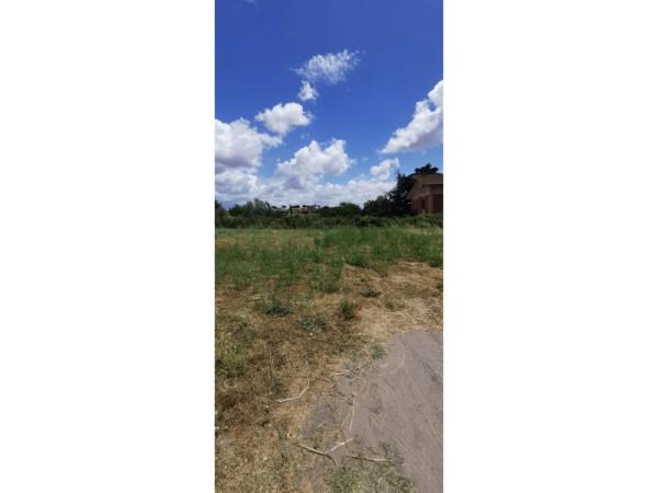 negozio in vendita a Roma in zona Olgiata