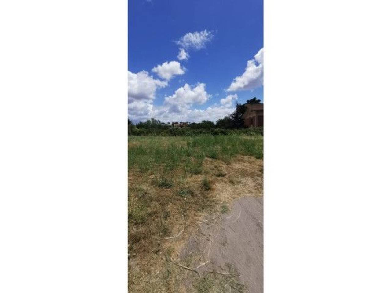 negozio in vendita a Roma in zona Olgiata