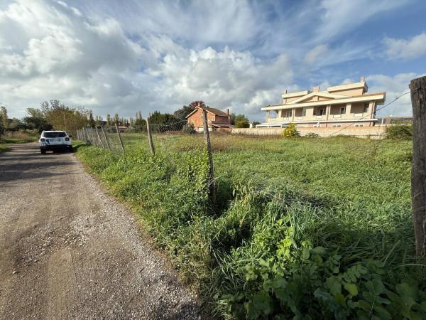 negozio in vendita a Roma in zona Infernetto