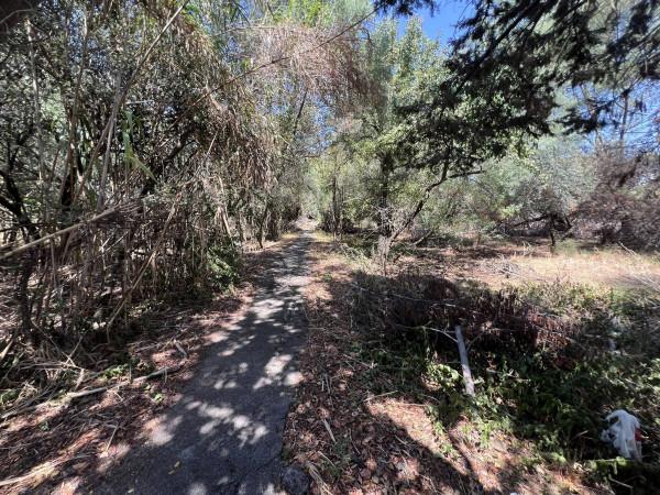 negozio in vendita a Roma in zona Infernetto