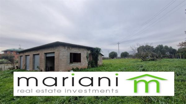 negozio in vendita a Roma in zona Trigoria