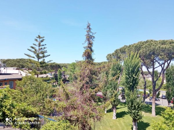 appartamento in vendita a Roma in zona Casal Palocco