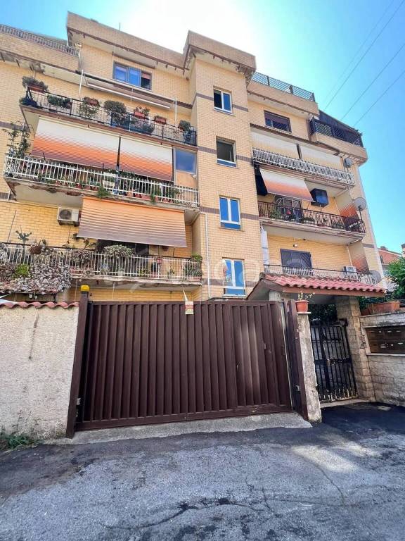 immagine annuncio 0 di 15