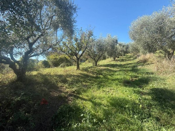 terreno agricolo in vendita a Roma in zona Prima Porta
