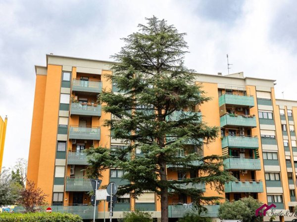 appartamento in vendita a Roma in zona Giuliano Dalmata