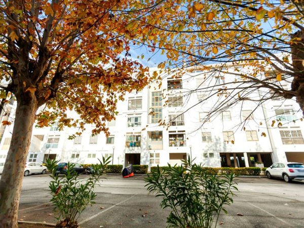 appartamento in vendita a Roma in zona Castel Fusano