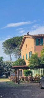 negozio in vendita a Roma in zona Flaminio