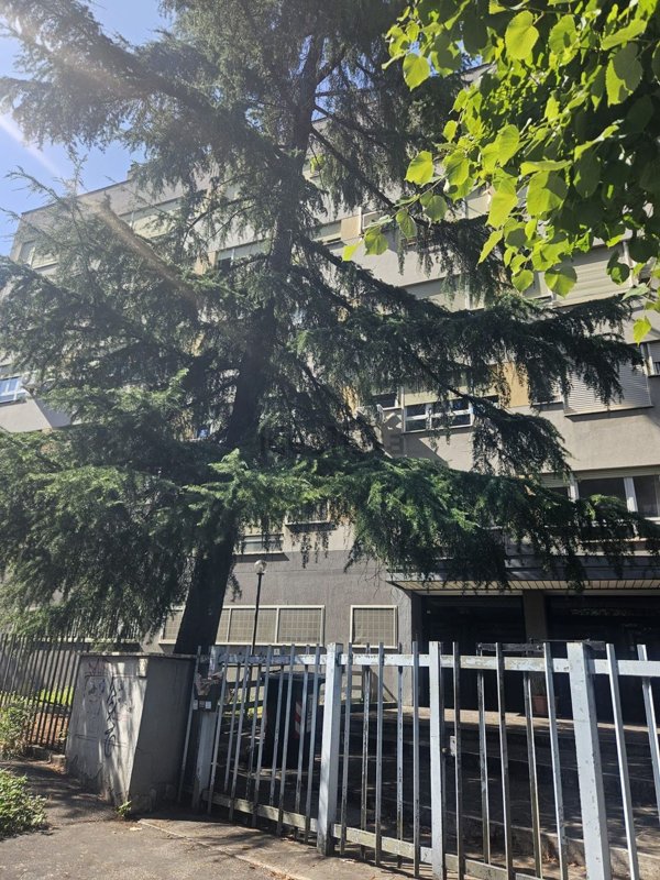 appartamento in vendita a Roma in zona Torrino