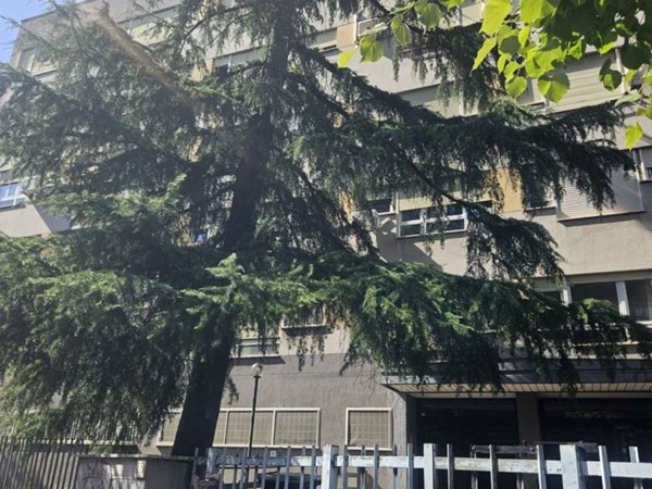 appartamento in vendita a Roma in zona Torrino