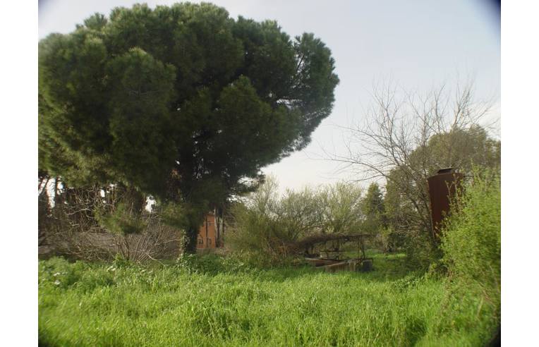 terreno agricolo in vendita a Roma in zona Collatino