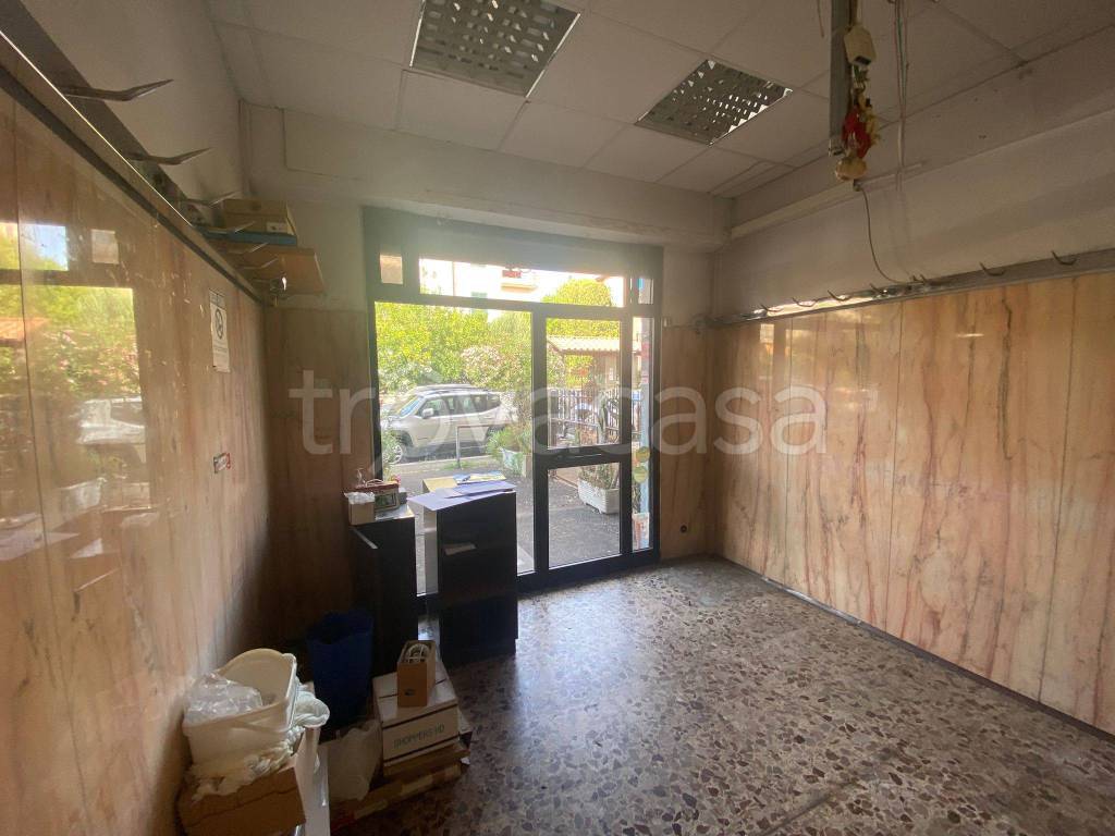 negozio in vendita a Roma in zona Torrevecchia