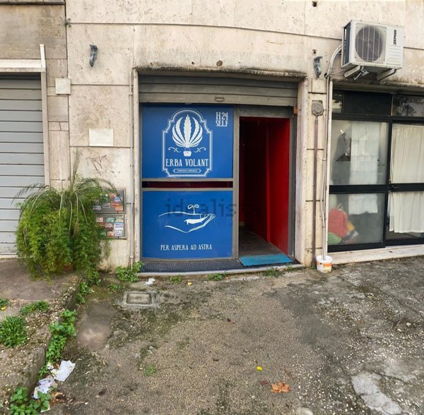 casa indipendente in vendita a Roma in zona Trieste