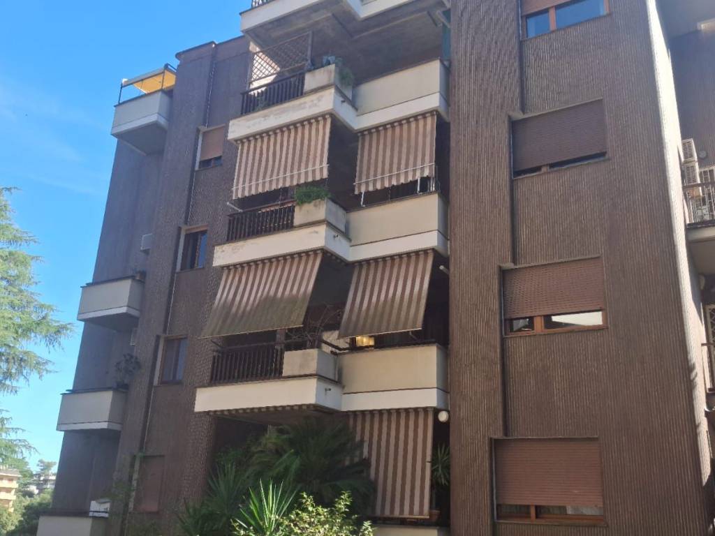 appartamento in vendita a Roma in zona Grottarossa
