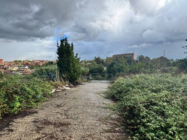 terreno agricolo in vendita a Roma in zona Acilia