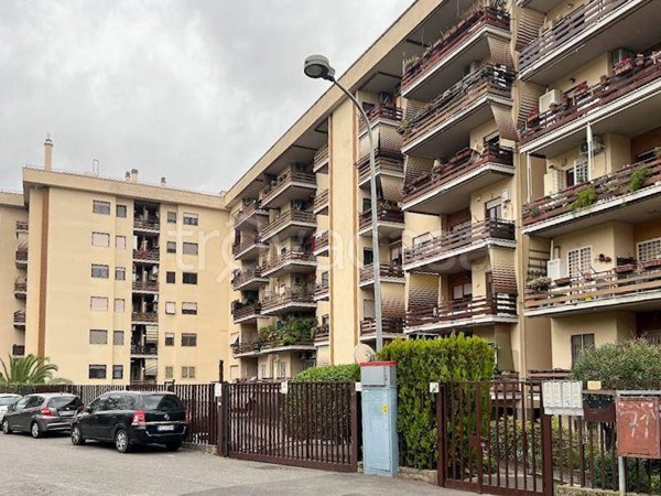 appartamento in vendita a Roma in zona Monte Sacro/Talenti