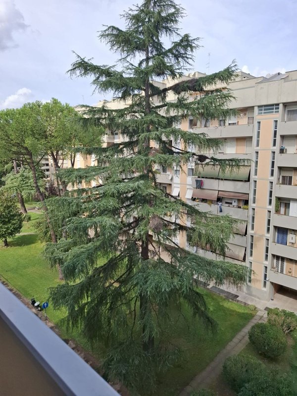 appartamento in vendita a Roma in zona Collatino