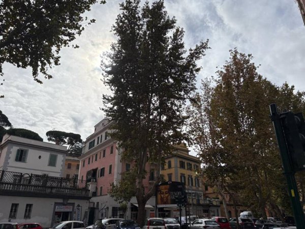 appartamento in vendita a Roma in zona Rione Prati