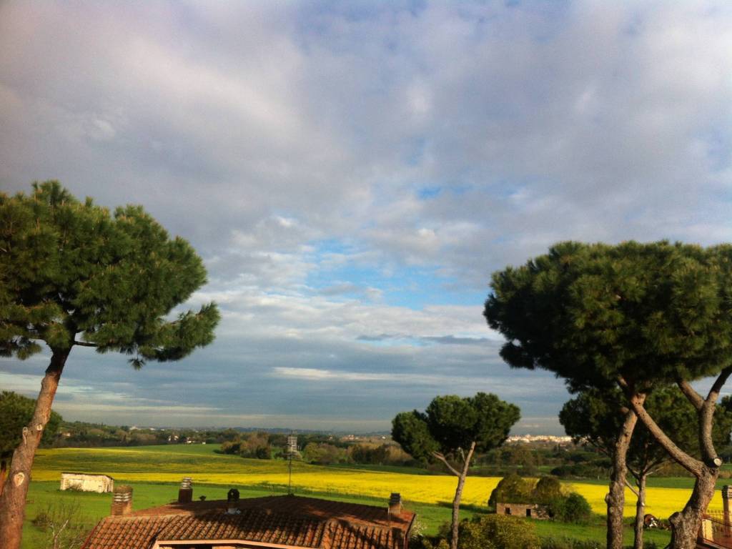 appartamento in vendita a Roma in zona Ardeatino