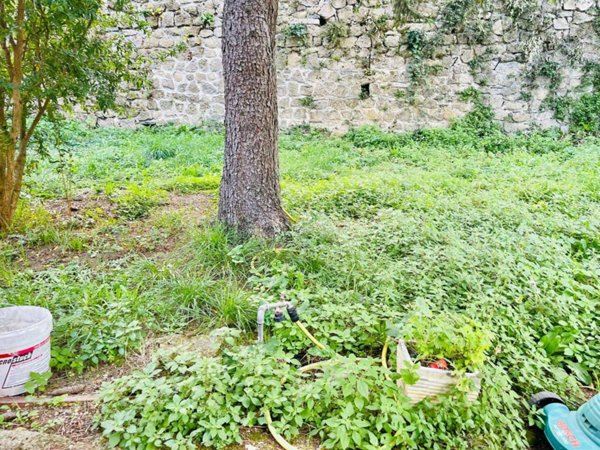 appartamento in vendita a Roma in zona Trionfale