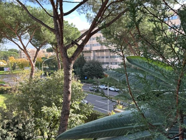appartamento in vendita a Roma in zona Torrino