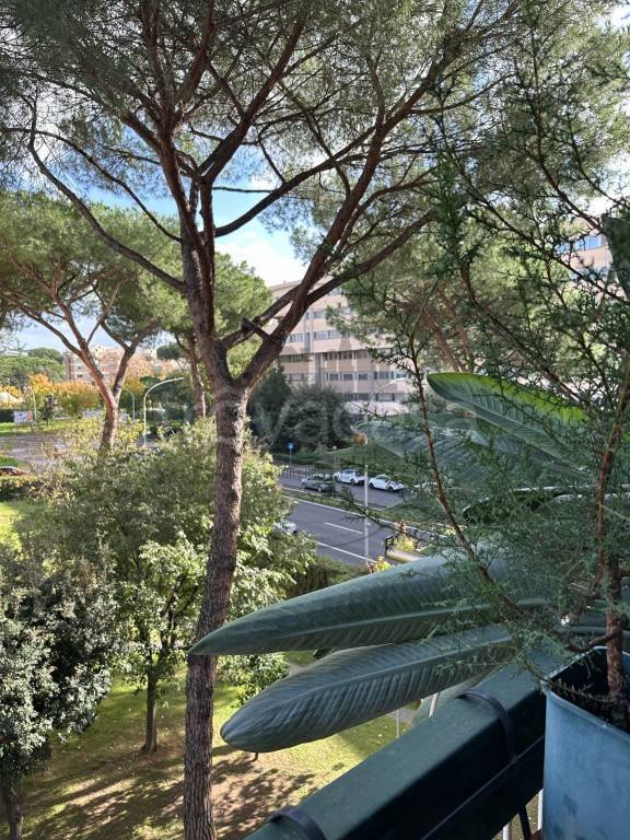 appartamento in vendita a Roma in zona EUR