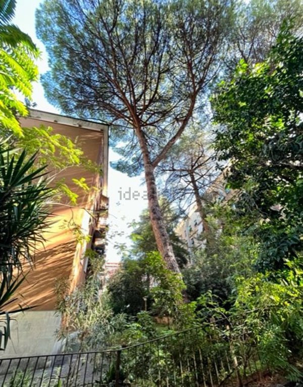 appartamento in vendita a Roma in zona Monte Sacro/Talenti