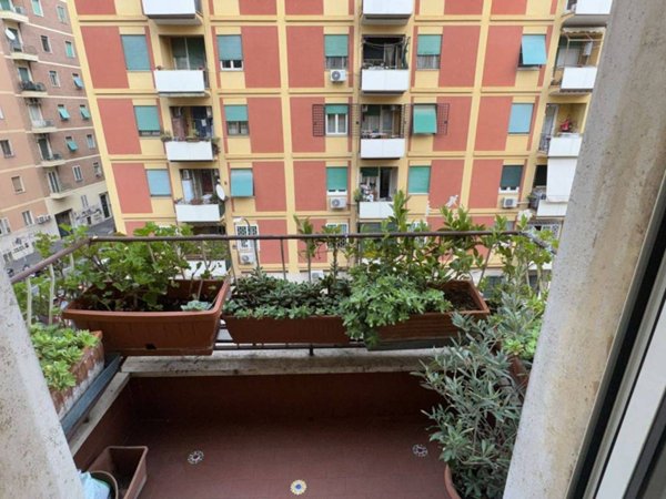 appartamento in vendita a Roma in zona Prenestino-Labicano