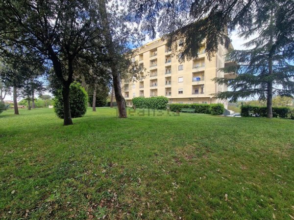 appartamento in vendita a Roma in zona Selva Candida