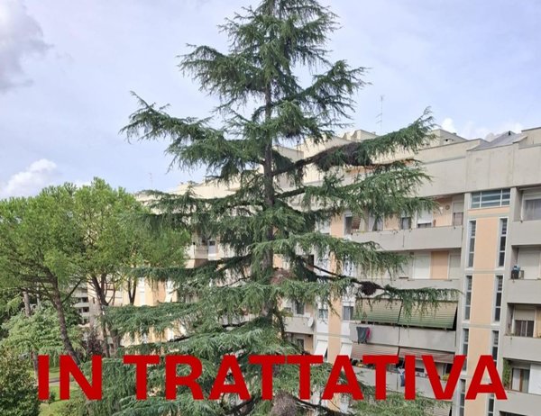 appartamento in vendita a Roma in zona Collatino