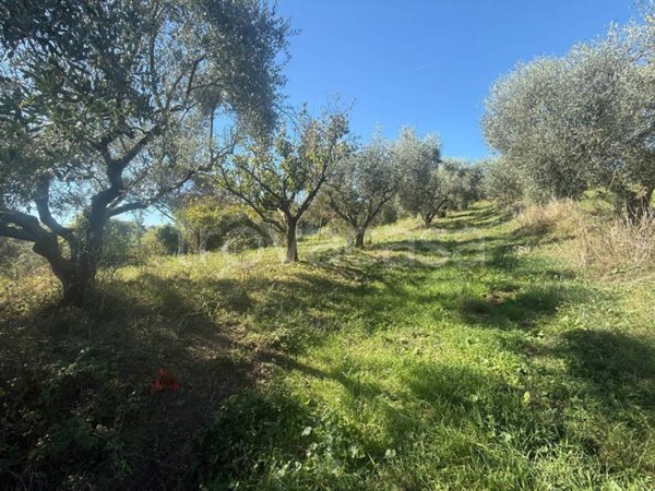 casa semindipendente in vendita a Roma in zona Prima Porta